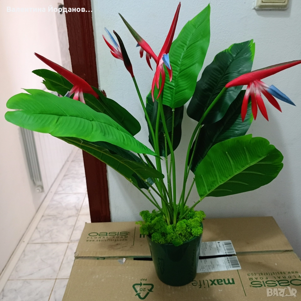 реалистична изкуствена стрелиция , снимка 1