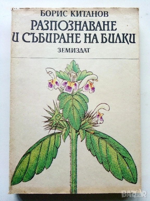 Разпознаване и събиране на билки - Борис Китанов - 1987г., снимка 1