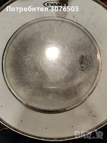 8 " Batter Head REMO UT