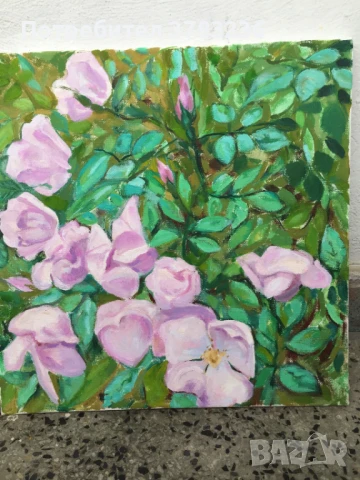 картини с маслени бои