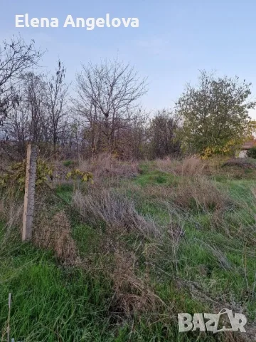 Парцел в с. Чешнегирово (Пловдив), с готов ФУНДАМЕНТ, УПИ 2036 кв , снимка 2 - Парцели - 56005362