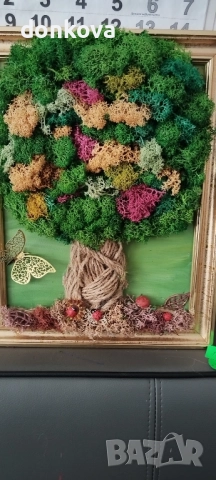 декорации от жив скандинавски мъх , снимка 9 - Декорация за дома - 52502683