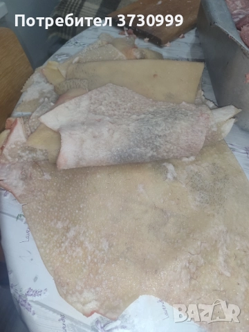 Прясна свинска кожа , снимка 2 - Друго - 52794536