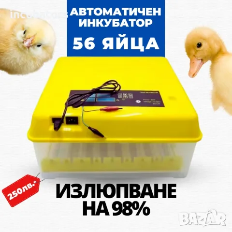 Инкубатор автоматичен и двойно захранване 220+12v, снимка 1 - За птици - 31224409