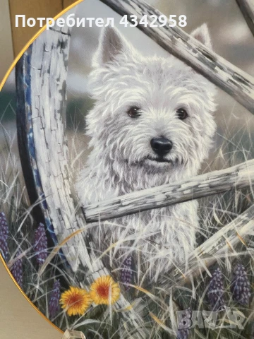 Колекционерска чиния от серия «Westies », снимка 2 - Антикварни и старинни предмети - 50811937