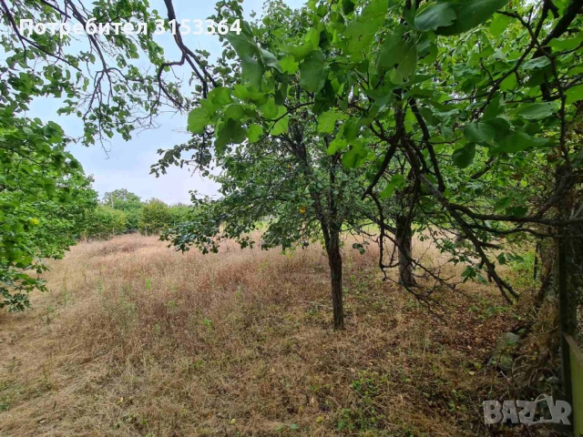 Продава се УПИ с вила и двор – с. Червен (долната част) 🌿, снимка 4 - Парцели - 51491513