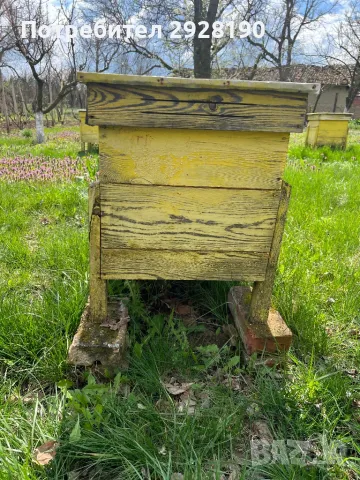 пчеларски кошери, снимка 2 - За пчели - 49845812