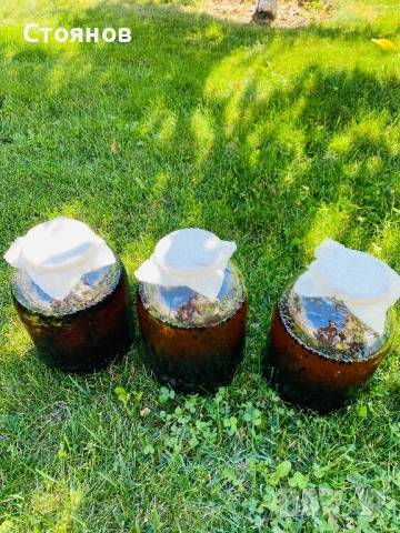 Сироп черен бъз с мед, бъзак с мед, снимка 7 - Други - 51738820