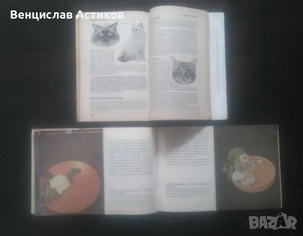 Лотове книги евтино - 1лв., снимка 15 - Други - 49887411