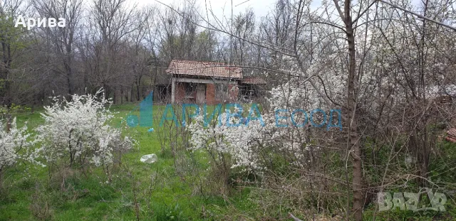 Парцел в регулация малка къща в с. Тракиец, община Хасково, снимка 2 - Парцели - 49654353