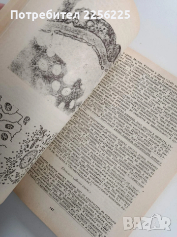 Цитология и хистология, снимка 3 - Специализирана литература - 53564660