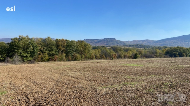 10 Декара Земеделска земя област Варна - Рента 100 лева - Цена 2390/дка, снимка 2 - Земеделска земя - 52516373