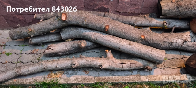 Продавам орехови трупи , снимка 4 - Дърводелски услуги - 52326046