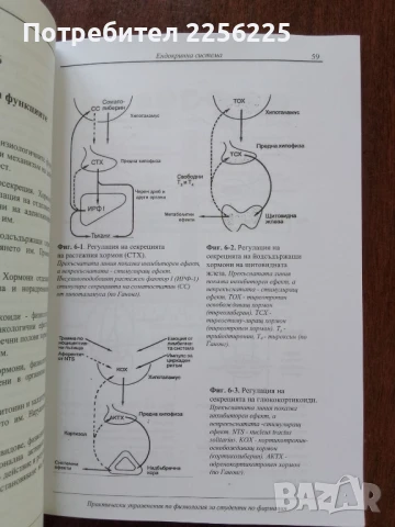 Практически упражнения по физиология, снимка 4 - Специализирана литература - 51047339