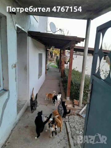 Продава се двоетажна къща в с.Хотница, снимка 10 - Къщи - 53854932