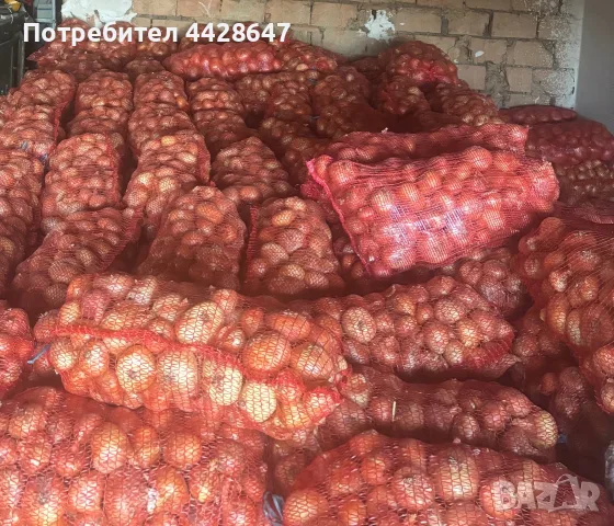 Продавам Български лук(лясковец 55)