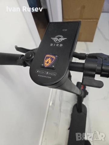 Тротинетка BIRD