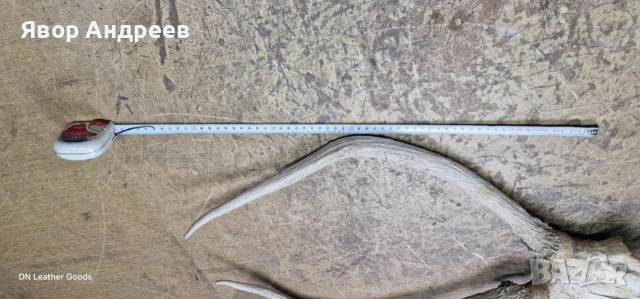 еленови рога, снимка 5 - Декорация за дома - 53062639