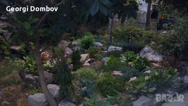 Продава къща с. ПАТАЛЕНИТЦА, снимка 2 - Къщи - 55944978