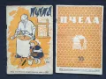 ПЧЕЛА Лот списания за ПЧЕЛАРСТВО , снимка 2
