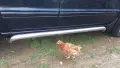 mercedes ML 320 на части, снимка 14