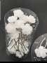 Фуркети бяло цвете - кутия , снимка 1 - Аксесоари за коса - 39081789