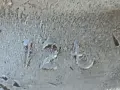 Маслен крик 12 т, снимка 15