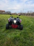 ATV Adly 320 2016г., снимка 1