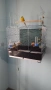 ПРОДАВАМ ПОЕН ПАПАГАЛ И ИТАЛИАНСКА КЛЕТКА., снимка 1