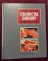 Голям атлас на колоректалната хирургия / A Colour Atlas of Colorectal Surgery, снимка 1