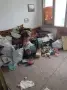 Превоз и Услуги с бус!, снимка 7