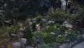 Продава къща с. ПАТАЛЕНИТЦА, снимка 2