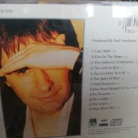 Kenny Rogers, Eric Clapton, Chris De Burgh, Styx  , снимка 6 - CD дискове - 40548306