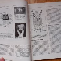 Основи на оперативно зъболечение- Инджов, снимка 3 - Специализирана литература - 43910844
