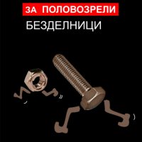 РЪКОВОДСТВО ЗА ПОЛОВО ЗРЕЛИ БЕЗДЕЛНИЦИ, снимка 1 - Българска литература - 33130633