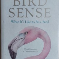 Bird Sense: What It's Like to Be a Bird (Tim Birkhead), снимка 1 - Други - 42336370
