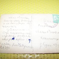 Стара картичка "на излет из Сините камъни" 1938г., снимка 3 - Други ценни предмети - 34794260