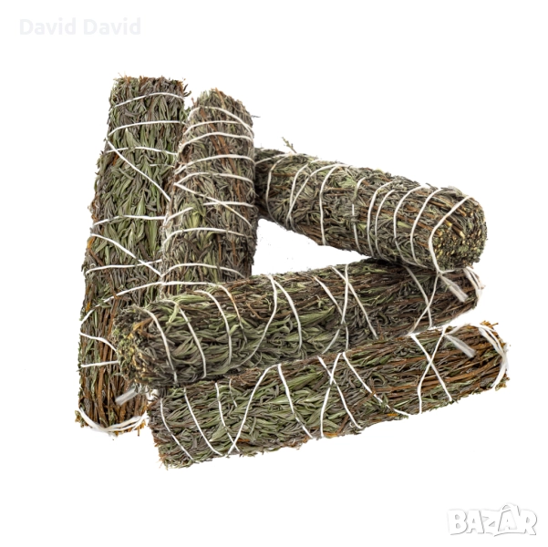 Лавандула (12-14 см) - 5 бр. | На Едро, снимка 1