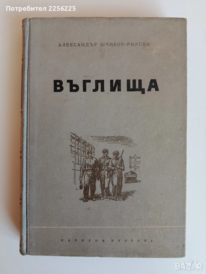 Въглища, снимка 1