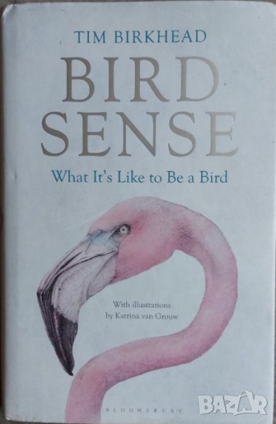 Bird Sense: What It's Like to Be a Bird (Tim Birkhead), снимка 1