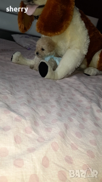 Той пуделчета, снимка 1