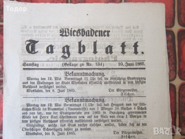 Античен стар немски вестник 1865 номер 134, снимка 2 - Колекции - 36059006