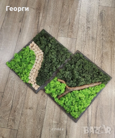 Картини със скандинавски мъх