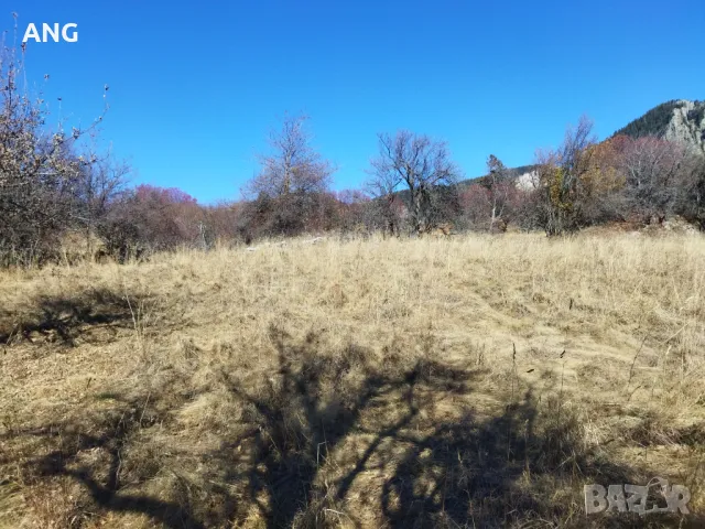 Продава панорамен парцел Смолянски езера , снимка 8 - Парцели - 48047132