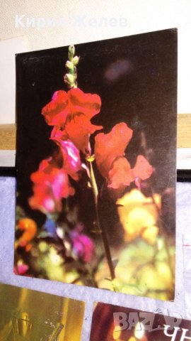 ЛОТ 4 СТАРИ ПОЩЕНСКИ КАРТИЧКИ ТЕМА ЧНГ ПЪРВА ПРОЛЕТ ЦВЕТЯ ЧЕСТИТКИ 8 МАРТ 6480, снимка 4 - Филателия - 38810709