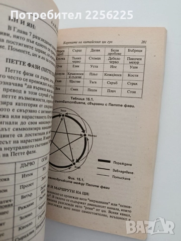 Корените на китайския Ци Гун, снимка 9 - Специализирана литература - 55786837