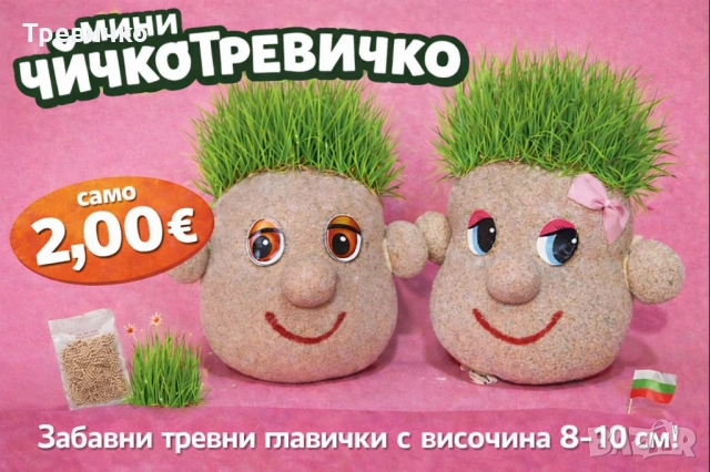 МИНИ ЧИЧКО ТРЕВИЧКО 