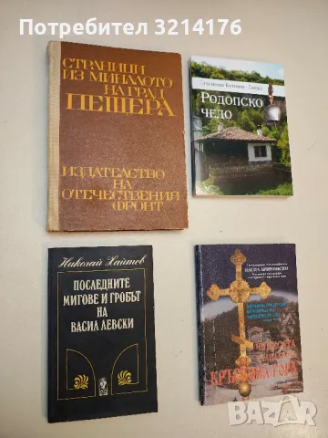 От сетната метафора взривен... - Петър Василев (с автограф), снимка 4 - Специализирана литература - 49814344
