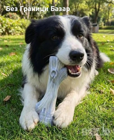 Нова Найлонова кокал играчка за куче – агресивни гризачи, дентална грижа, снимка 4 - За кучета - 53518401