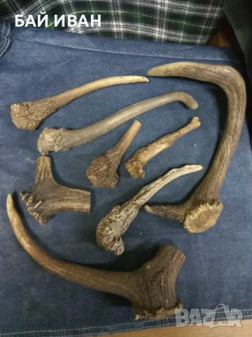 РОГА , снимка 2 - Декорация за дома - 50041785